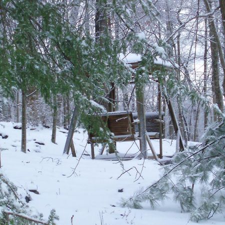Mountain Top Lodge Dahlonega Luaran gambar